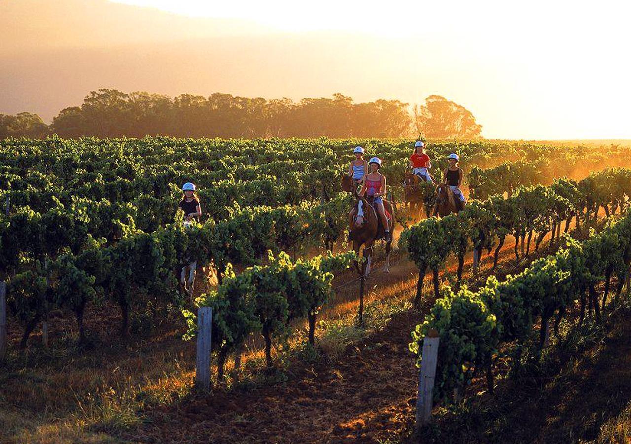 An Ideal Wine Country Getaway Villa Cessnock Ngoại thất bức ảnh